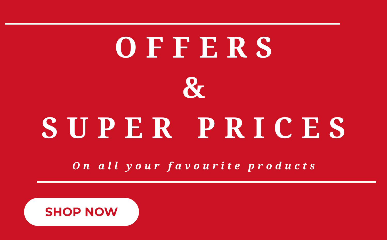 Offers Banners Rolcoshop (4)
